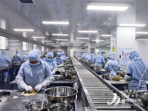 奏響高質量發展三部曲，白沙工業園唱響食品及農產品加工最強音
